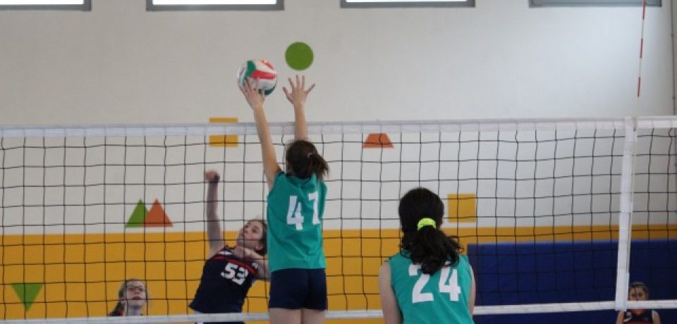 Aggiornamenti sull’attività sportiva         