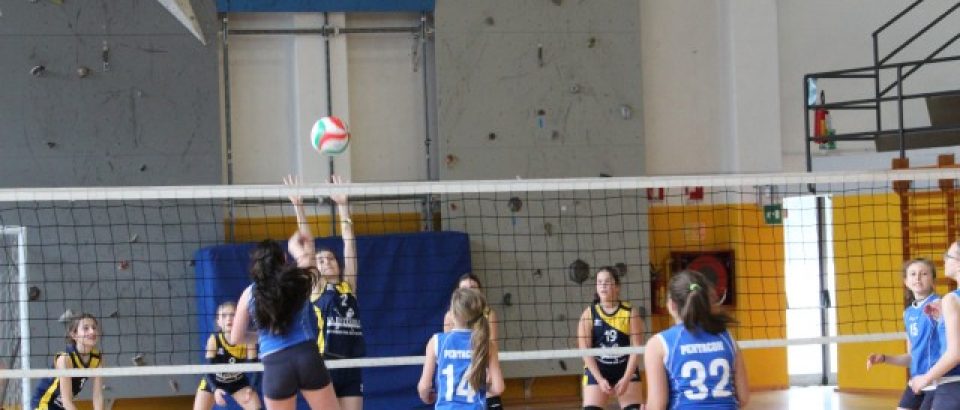 Indetti i campionati territoriali 2023/2024