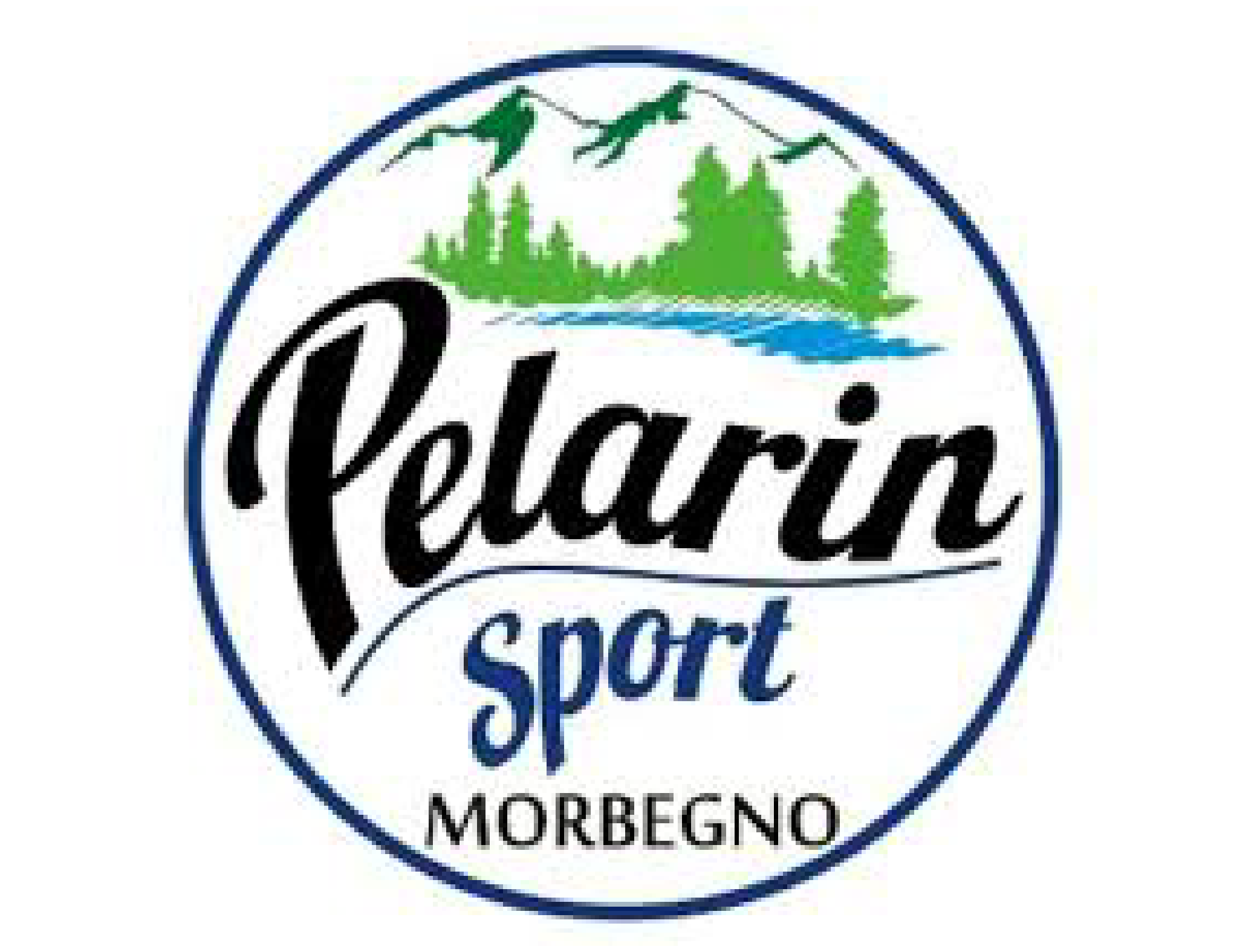 logo pelarin