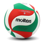 palla pallavolo molten