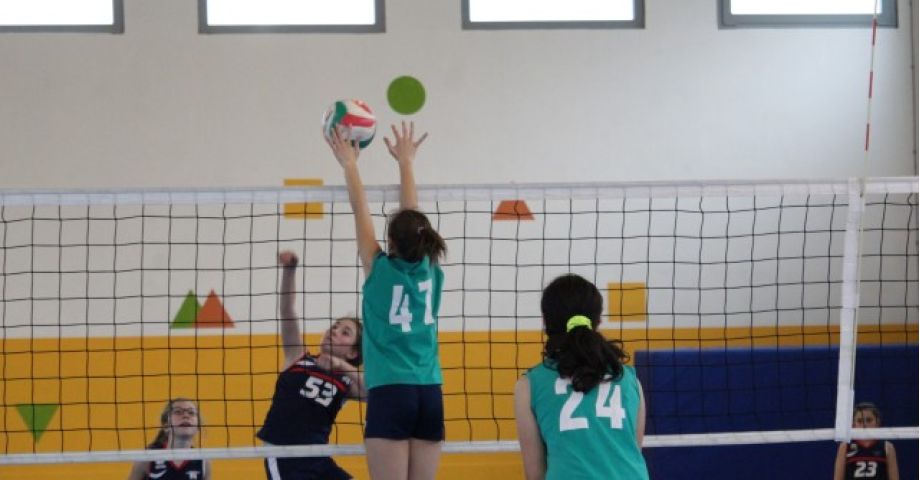 pallavolo muro